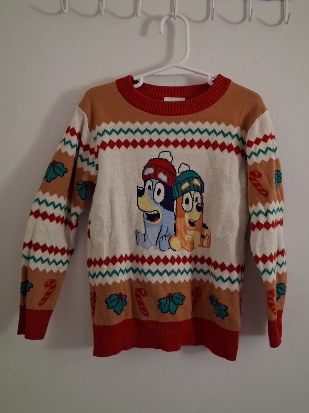 5T Bluey and Bingo Holiday Sweater !